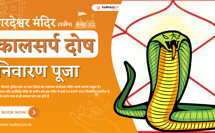  कालसर्प दोष निवारण पूजा – ONLINE KARMASU