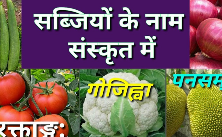  Vegetable names in Sanskrit with English Hindi meaning | सब्जियों के नाम संस्कृत में