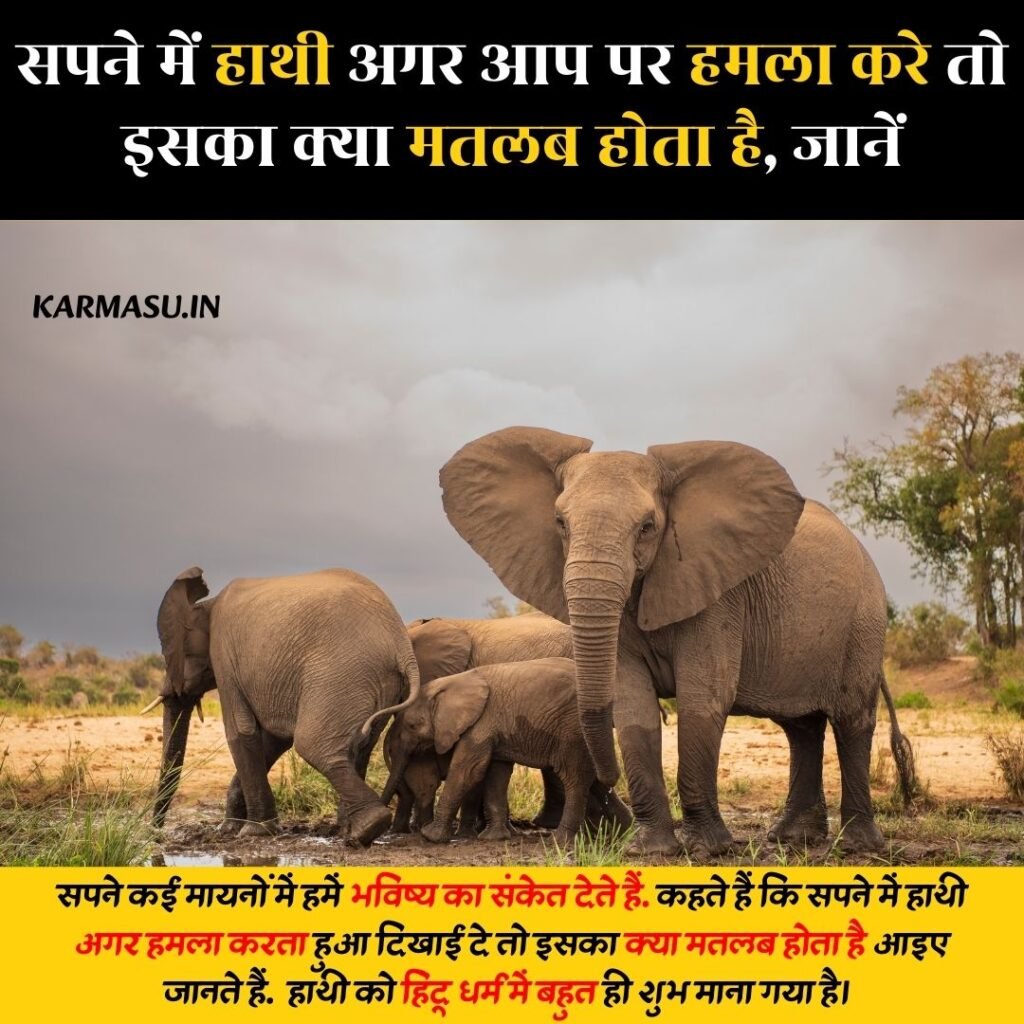 Elephant in Dreams