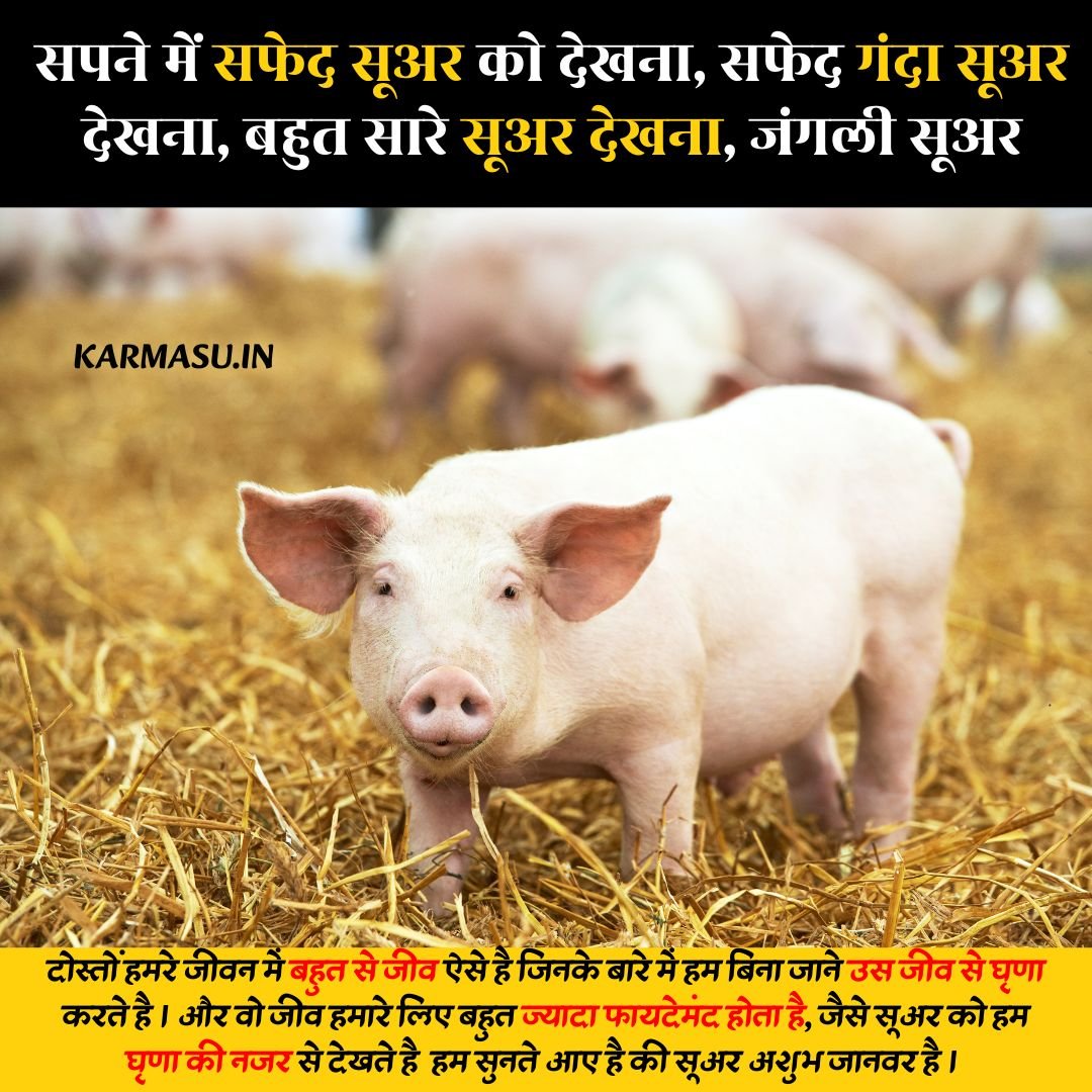 Sapne Mai Suar Dekhna
