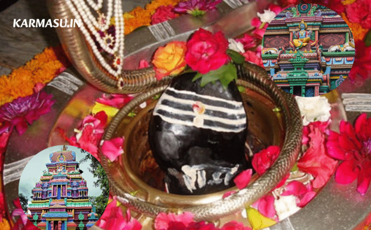  नीलकंठ महादेव मंदिर:ऋषिकेश, उत्तराखंड, भारत