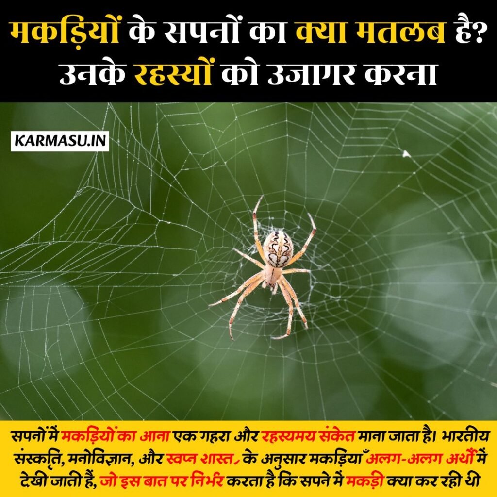 Spider in Dream