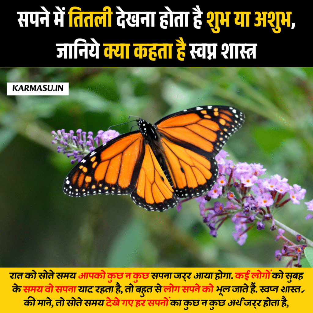 Butterfly in Dream