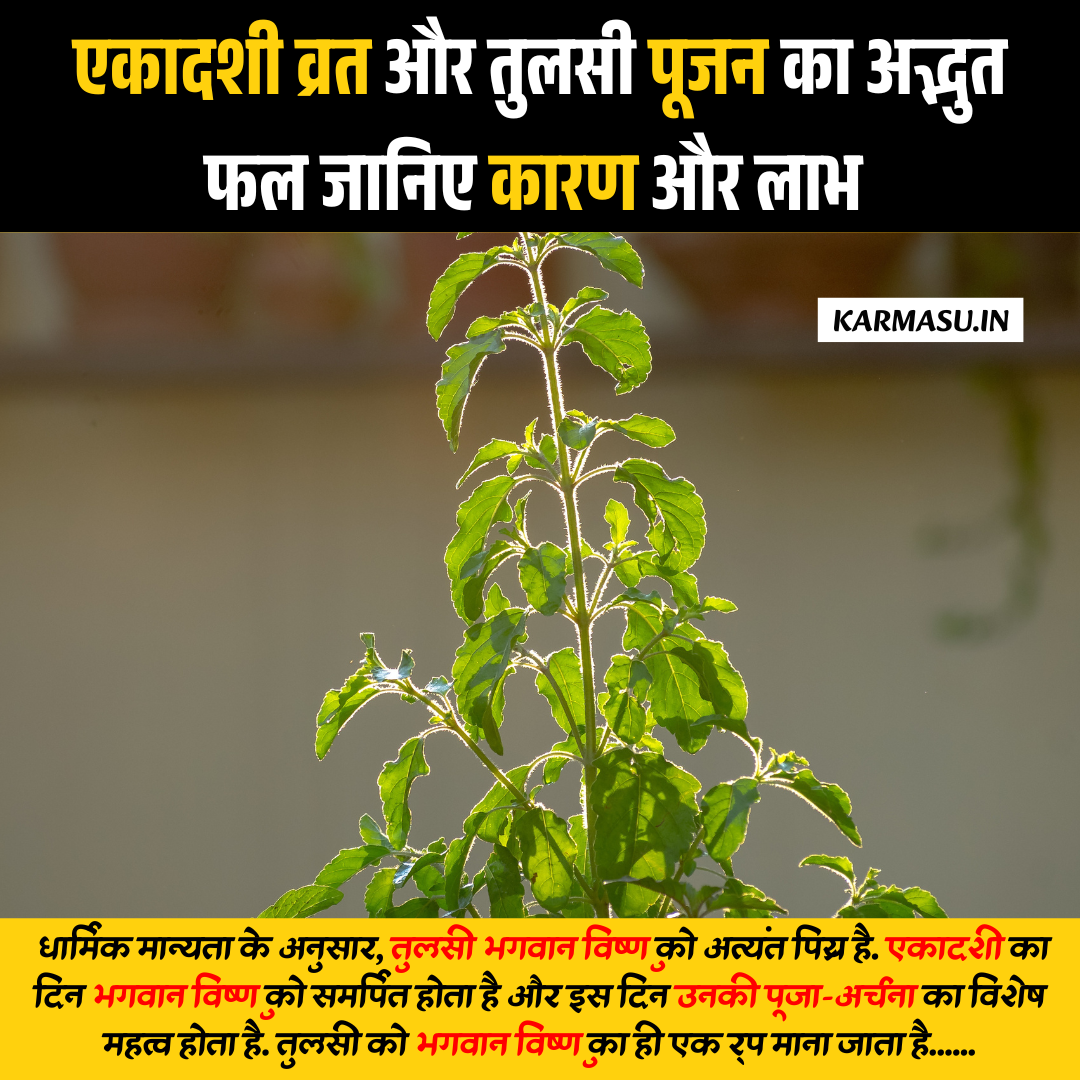 Tulsi Puja on Ekadashi