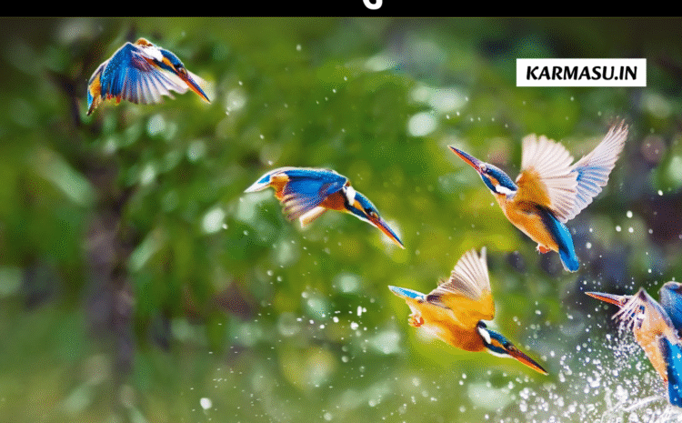  Birds In Your Dreams:सपने में दिखें ये पक्षी तो समझिए सौभाग्य दस्तक दे चुका है ?