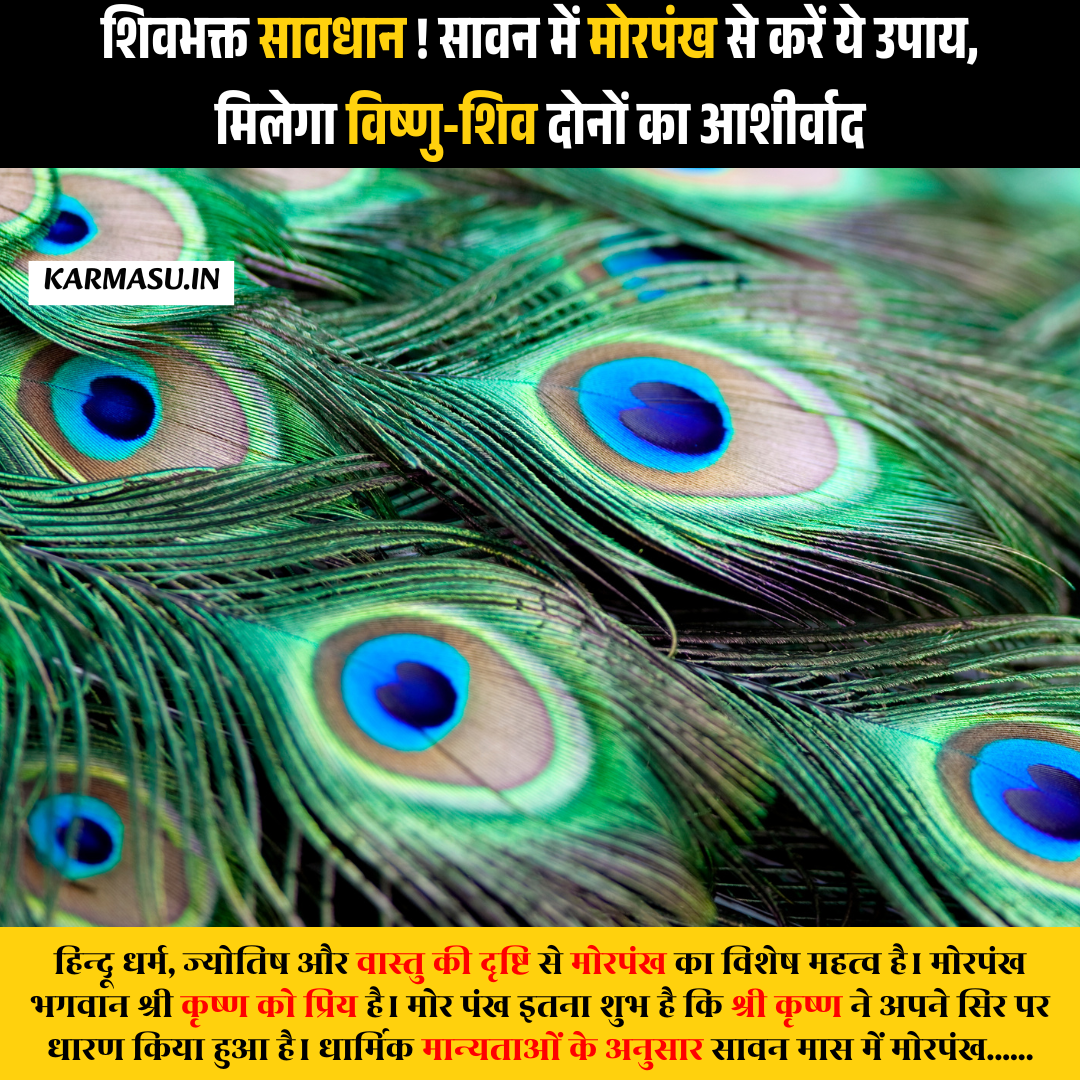 Morpankh Upay: शिवभक्त सावधान ! सावन में मोरपंख से करें ये उपाय, मिलेगा विष्णु-शिव दोनों का आशीर्वाद