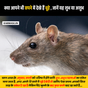 Rat in Dream