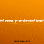 Kushotpatini Amavasya