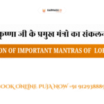 Krishnachaturvimshati
